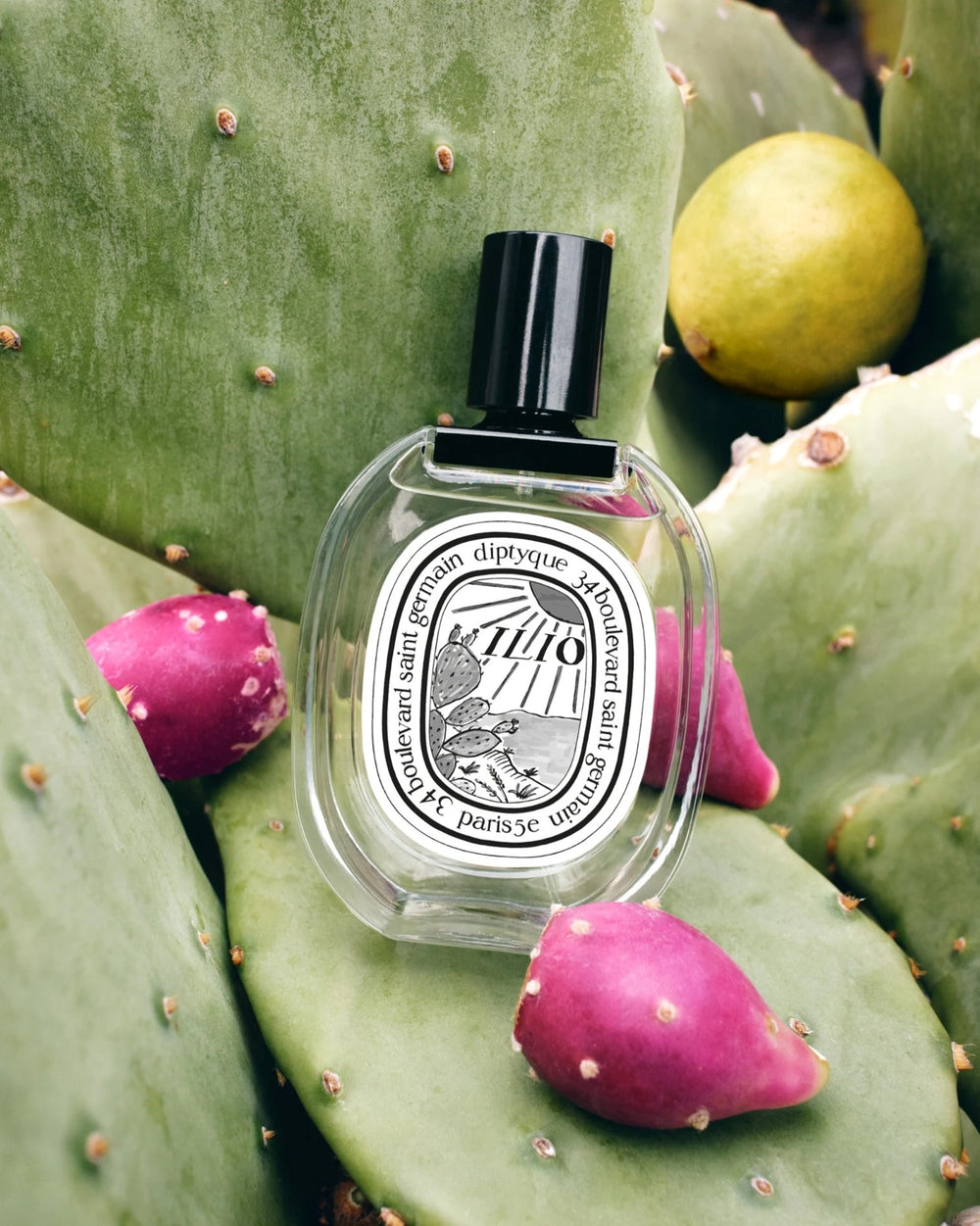 Diptyque Ilio Eau de Toilette (100ml) – image 3