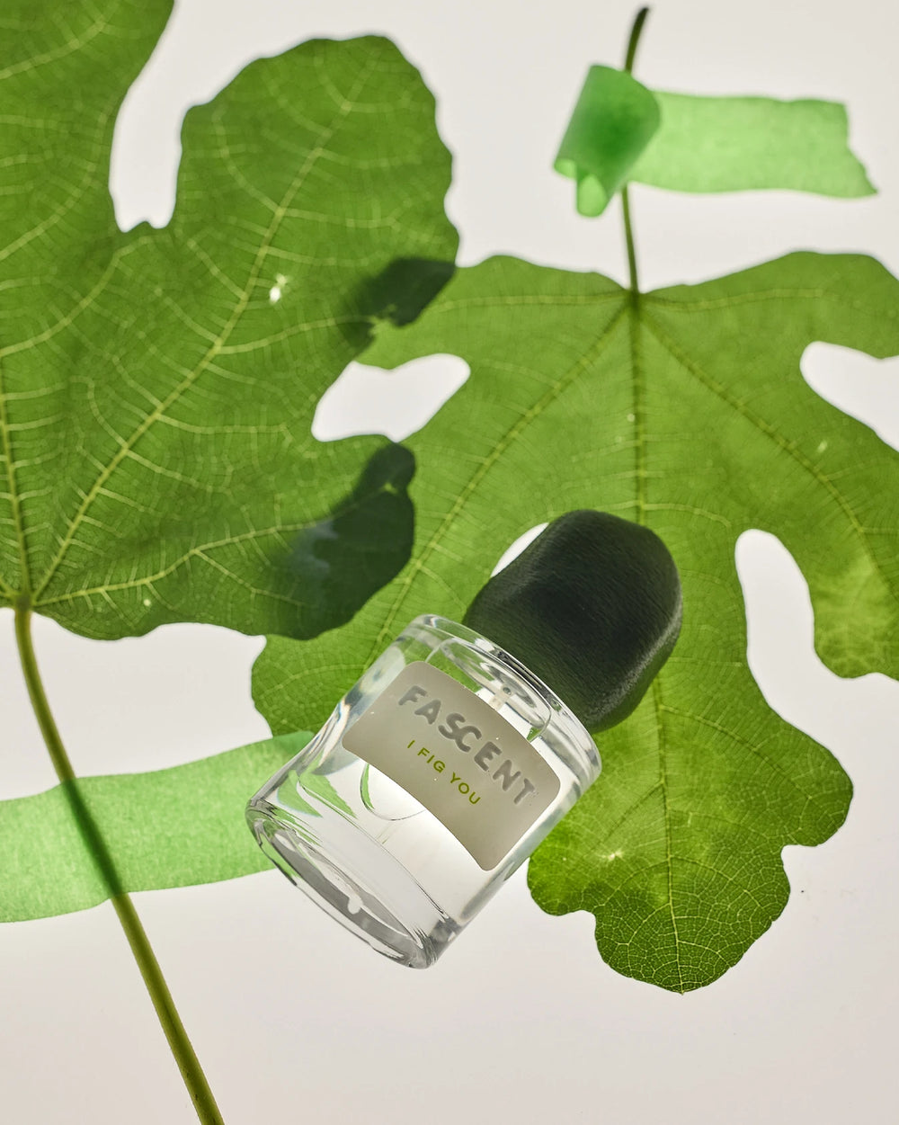 Fascent I Fig You Eau de Parfum (30ml) – image 4