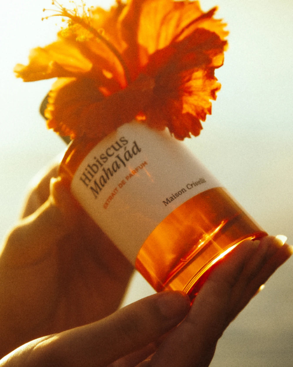 Maison Crivelli Hibiscus Mahajád Extrait de Parfum (100ml) – image 4