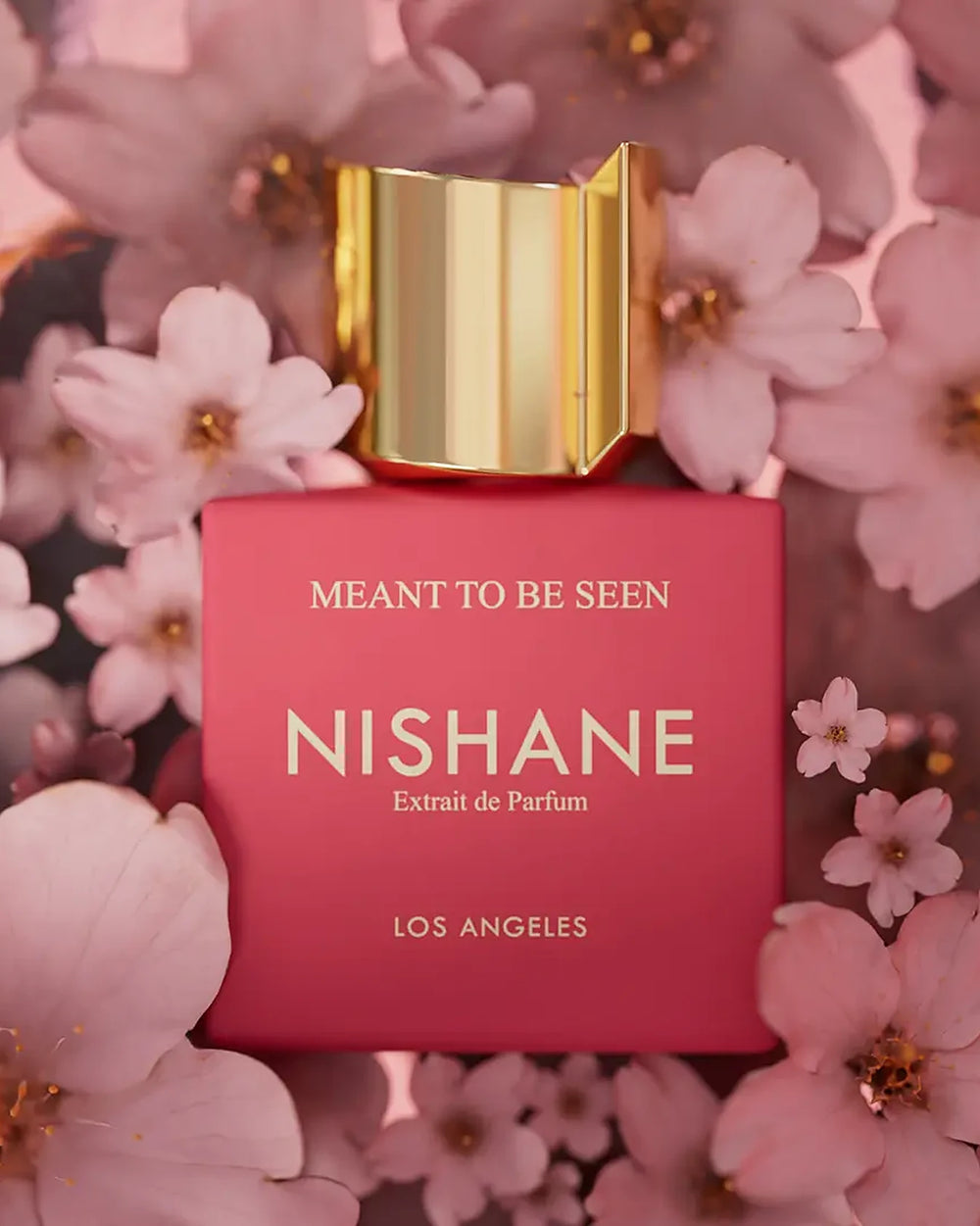 Nishane Meant to Be Seen Extrait de Parfum (50ml) – image 2