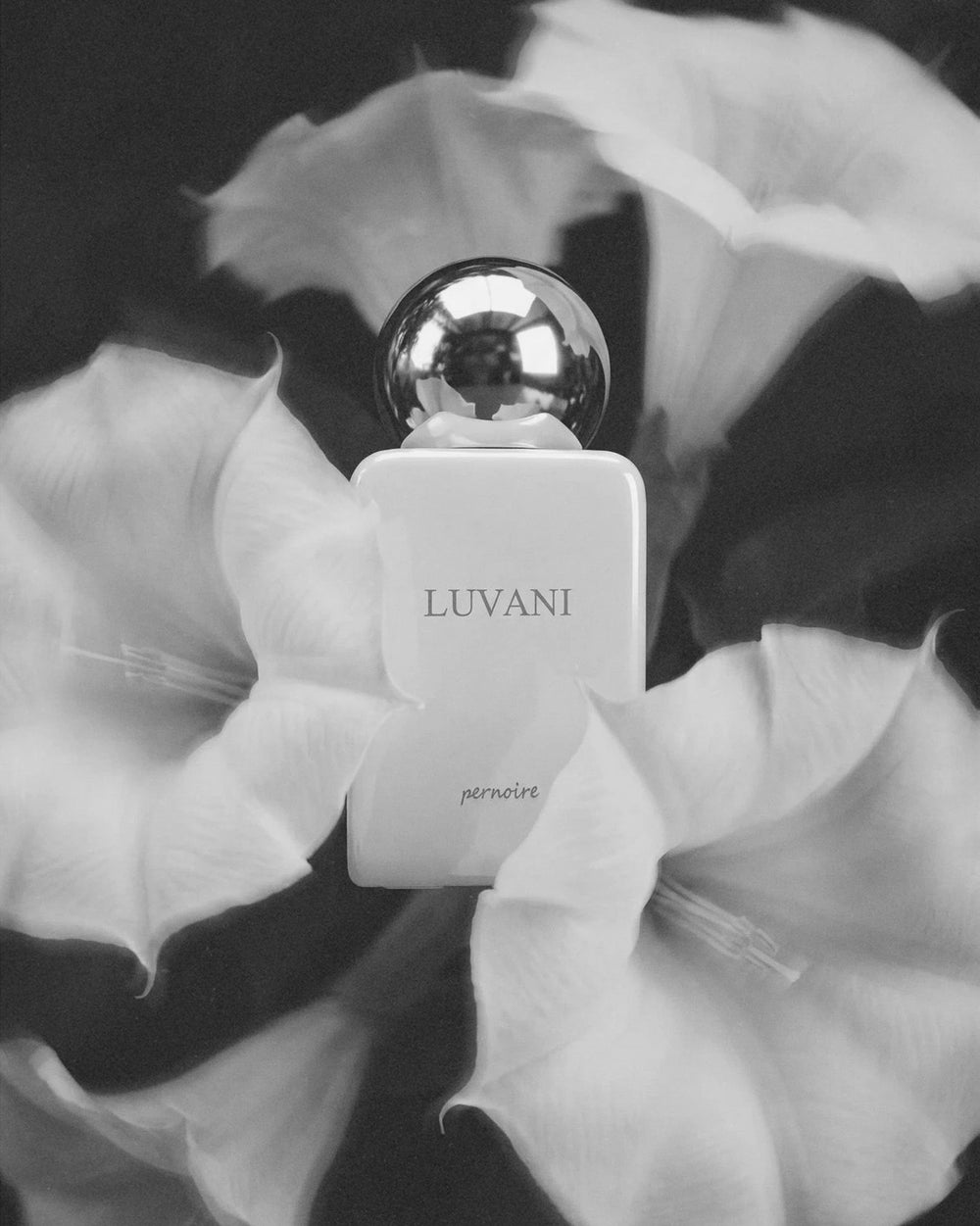 Pernoire Luvani Extrait de Parfum (50ml) – image 3