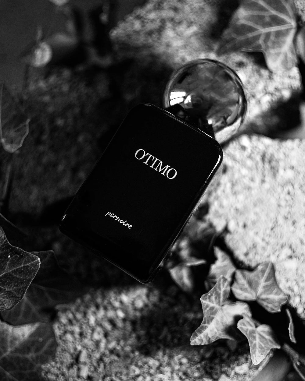Pernoire Otimo Extrait de Parfum (50ml) – image 3
