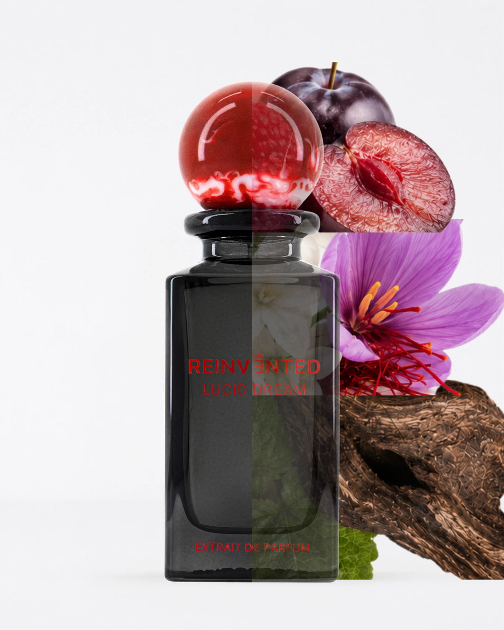 Reinvented Lucid Dream Extrait de Parfum (75ml) – image 5