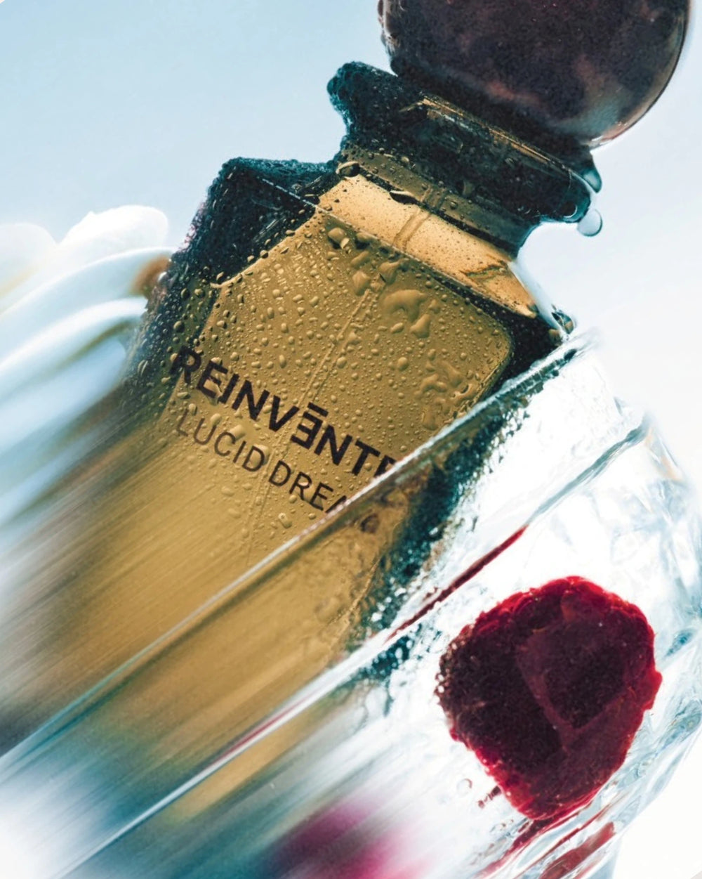 Reinvented Lucid Dream Extrait de Parfum (75ml) – image 6